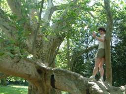 Le�r�s: product image 1